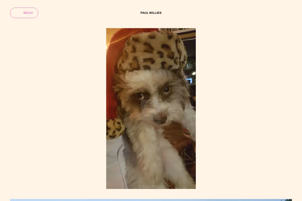 Paul Willies