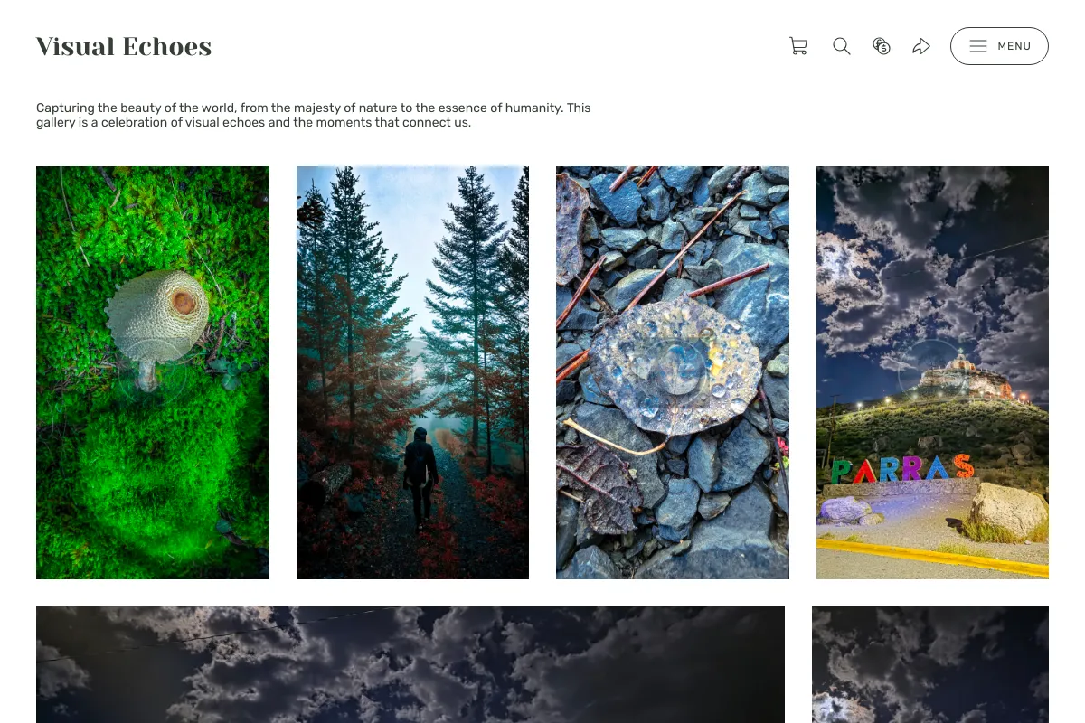 Visual Echoes