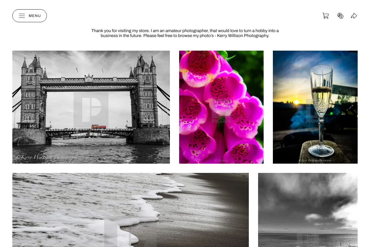 Kerry Willison Photography