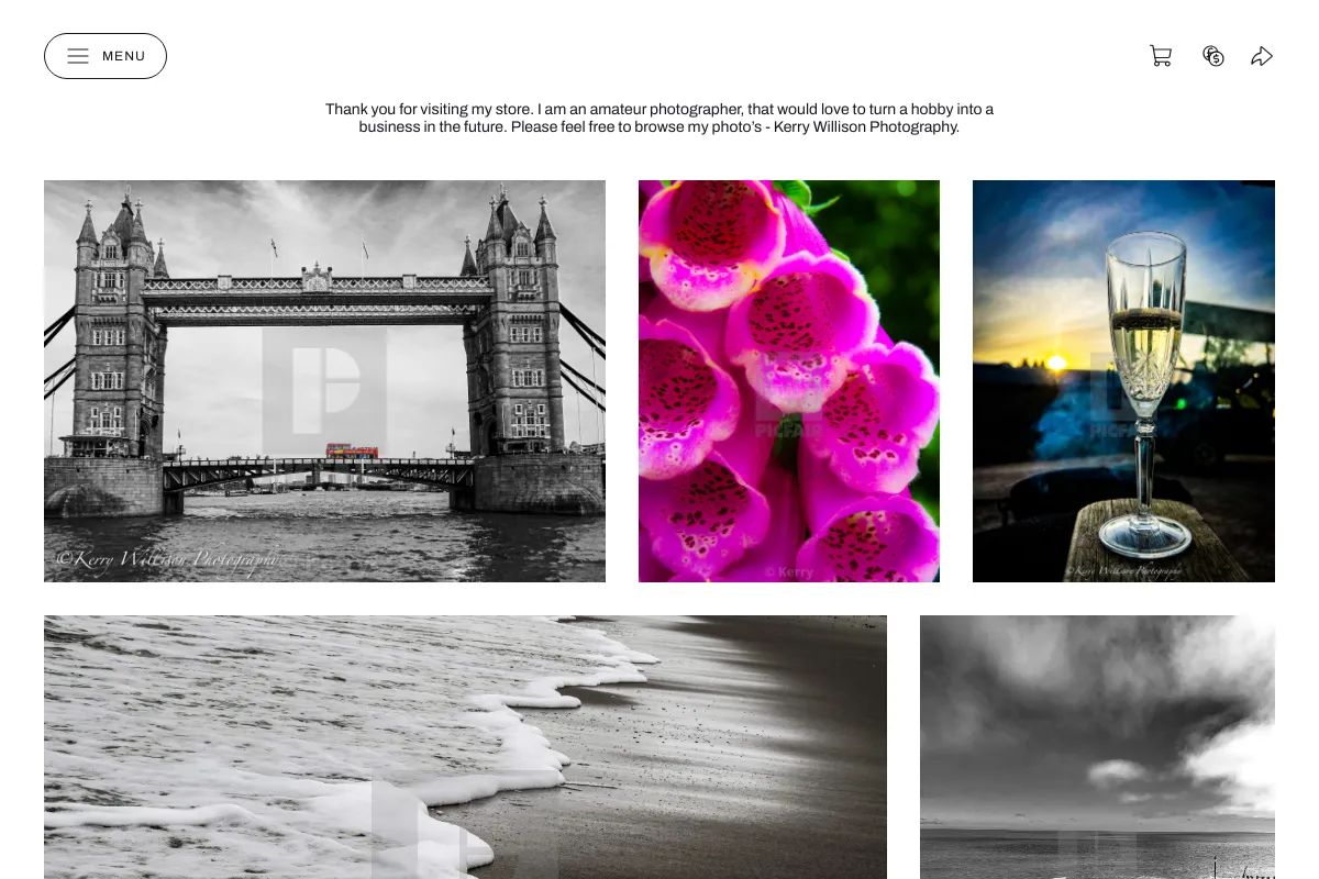 Kerry Willison Photography