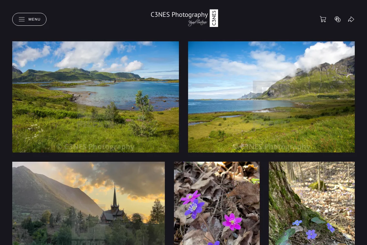 C3NES Photography
