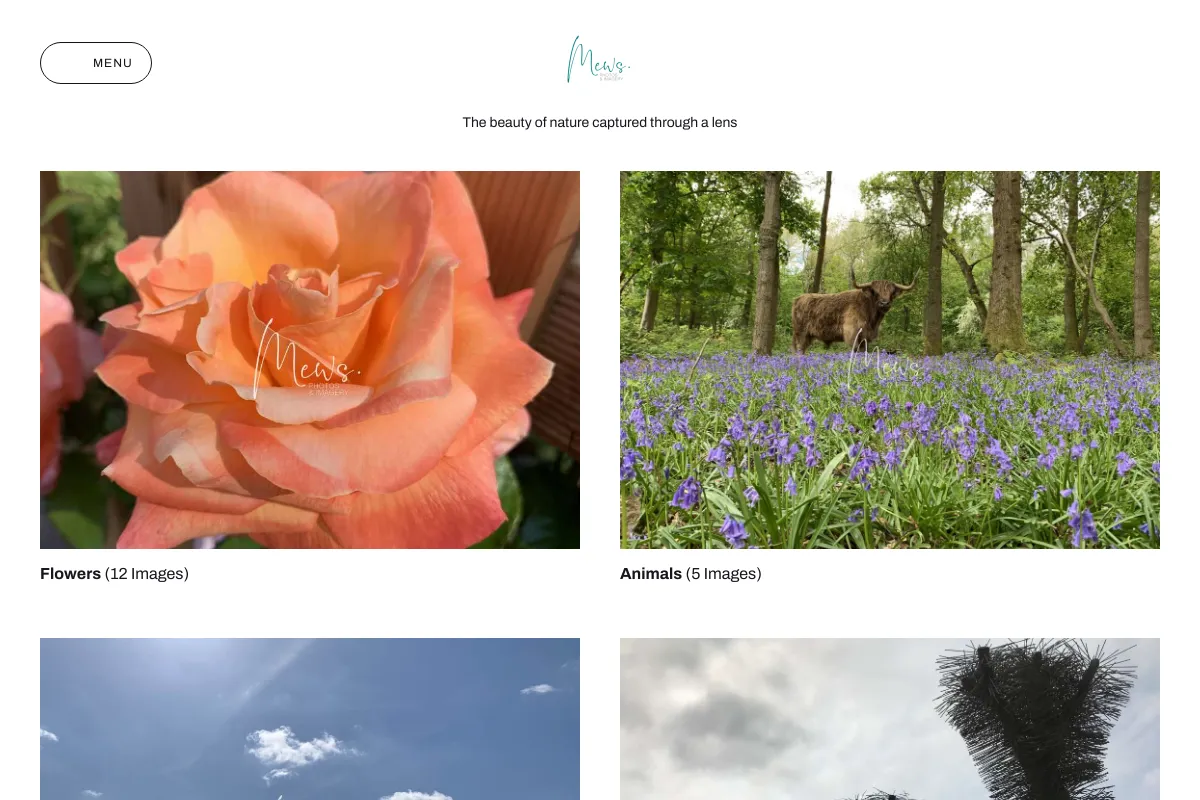 Mews Photos and Imagery
