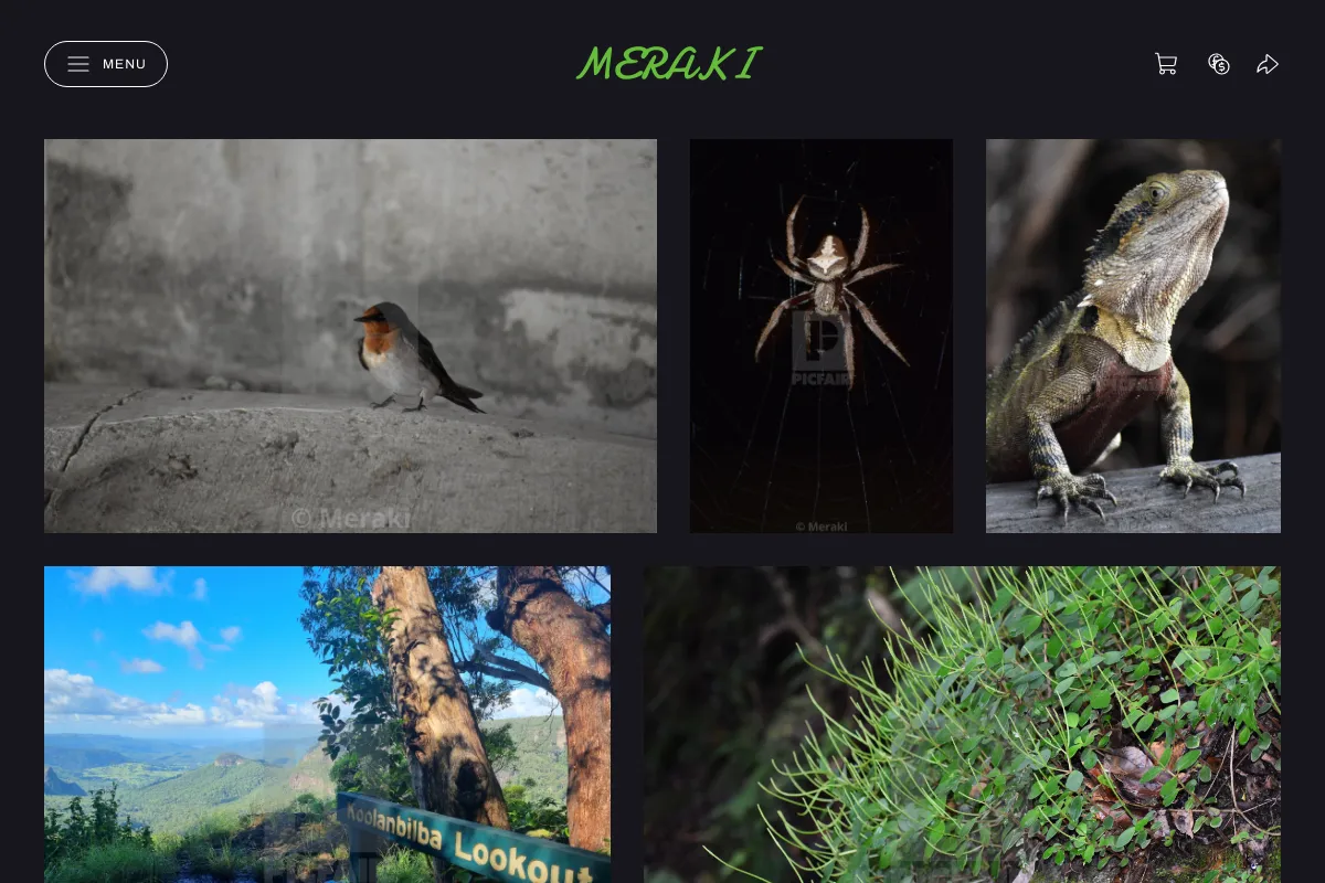 Meraki