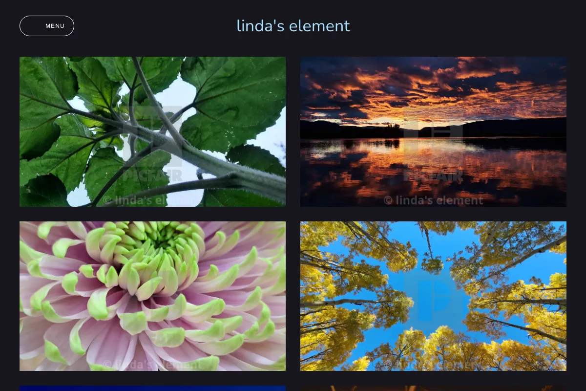 linda's element