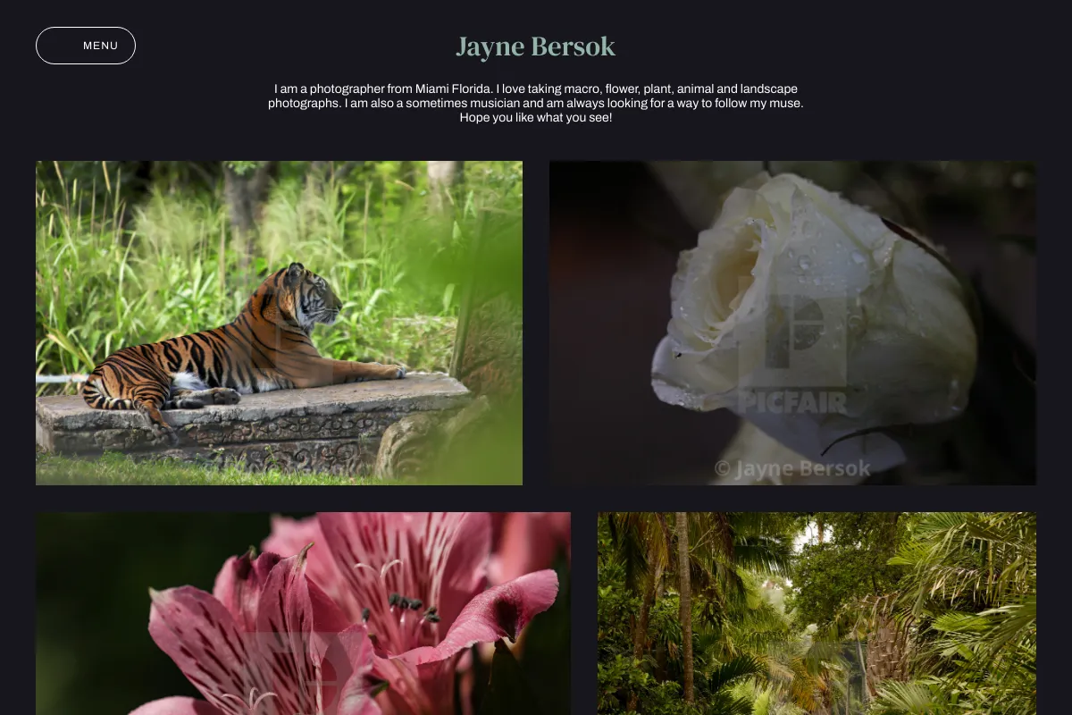 Jayne Bersok