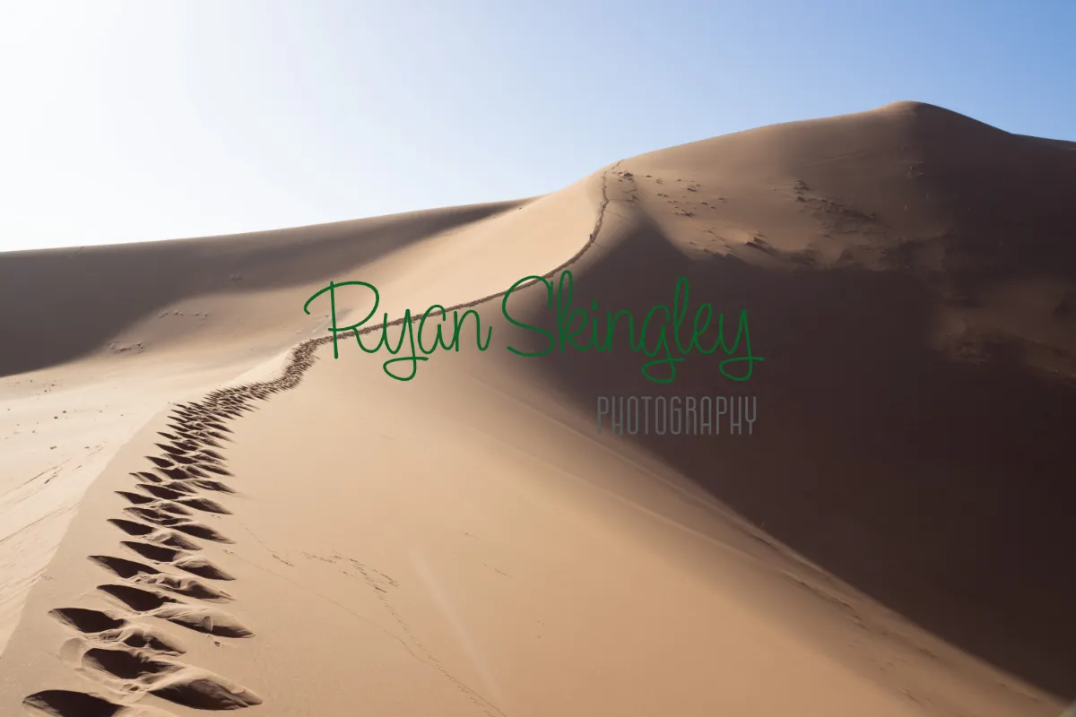 Ryan Skingley Photography