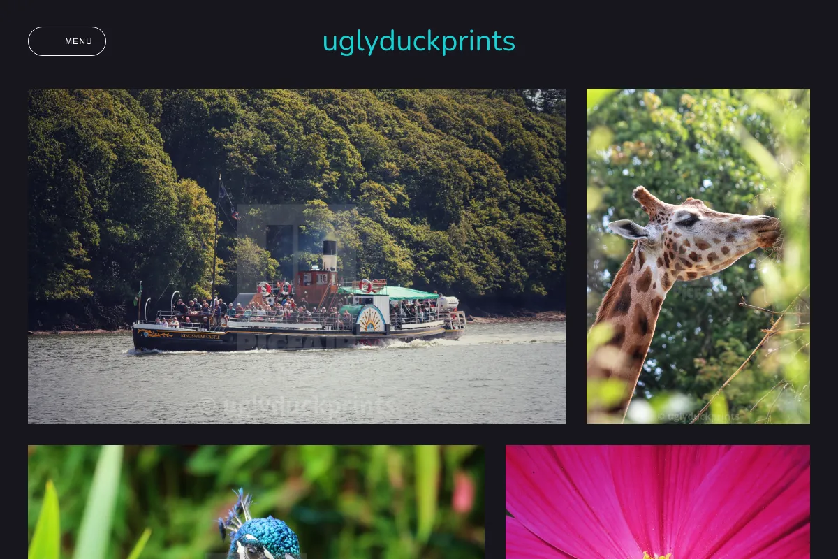 uglyduckprints 