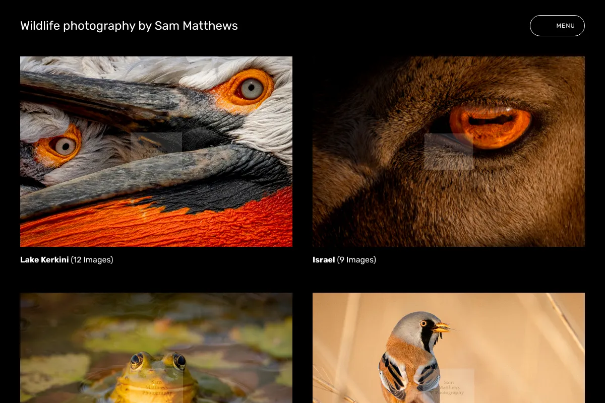 Wildlife photography by Sam Matthews