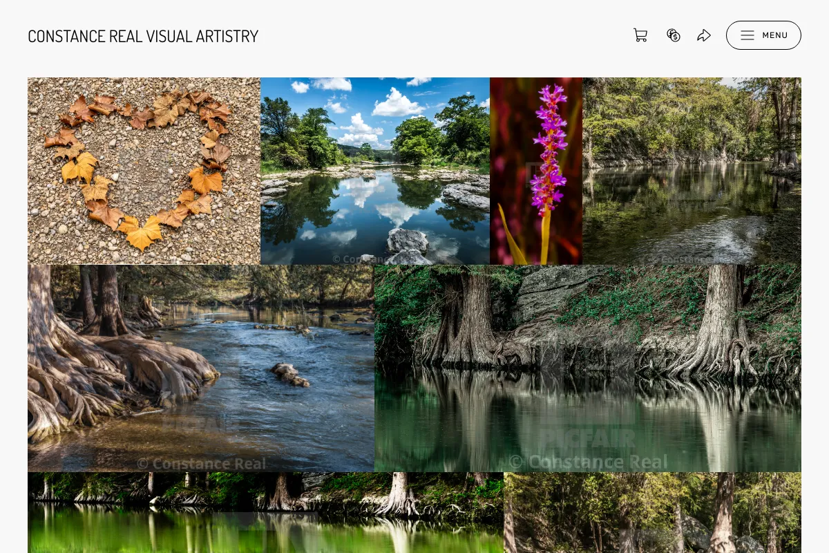 Constance Real Visual Artistry