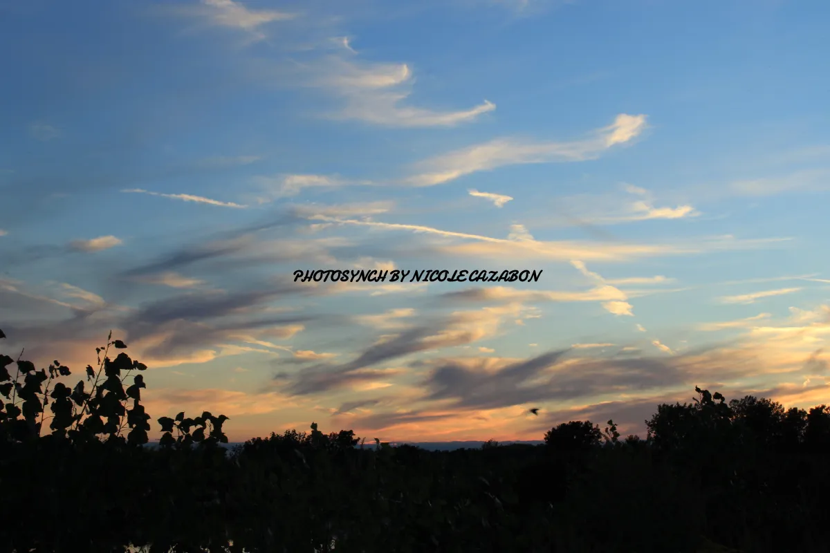 Photosynch By Nicole Cazabon