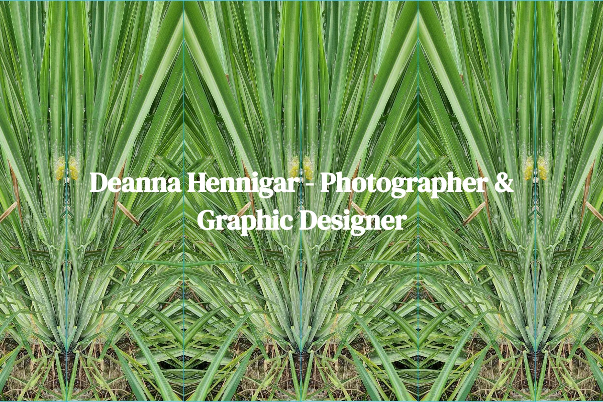 Deanna Hennigar - Photographer & Graphic Designer