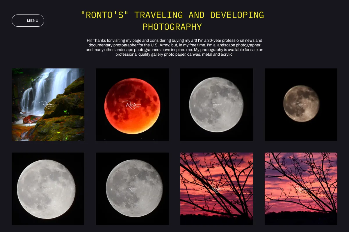 "RONTO's" Traveling and Developing Photography