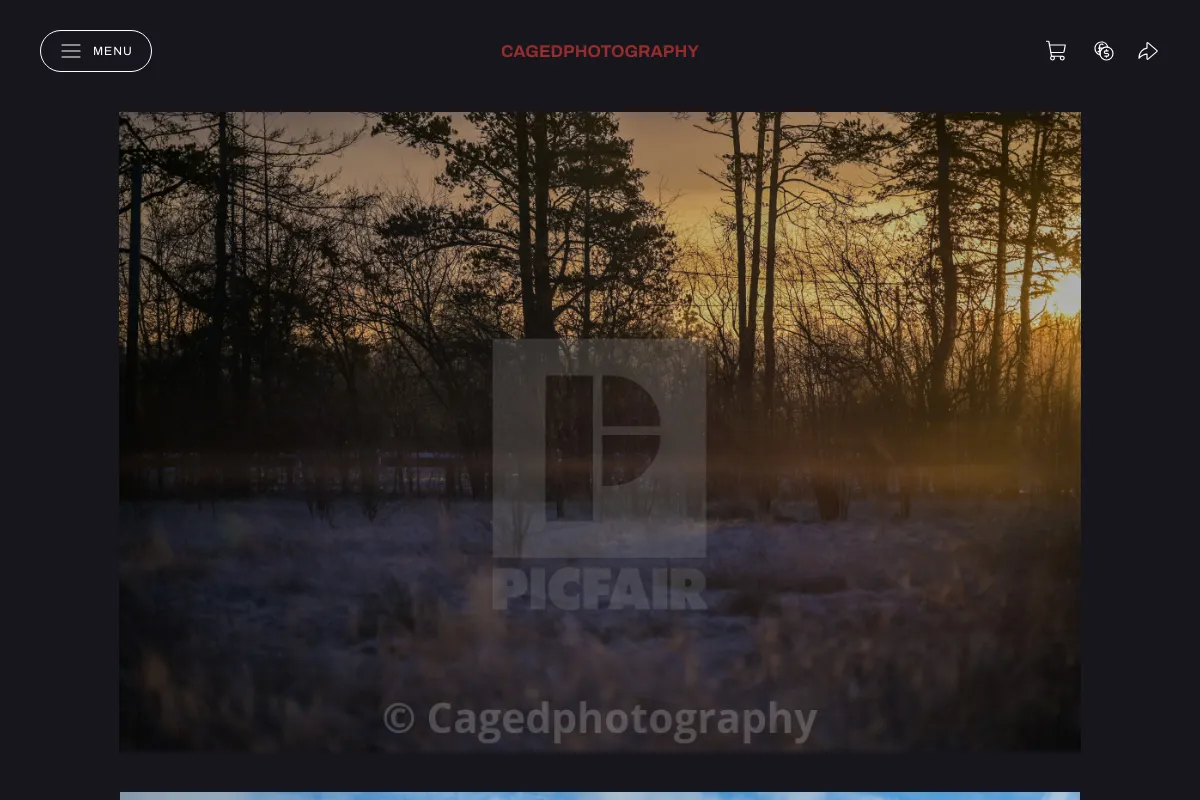 Cagedphotography