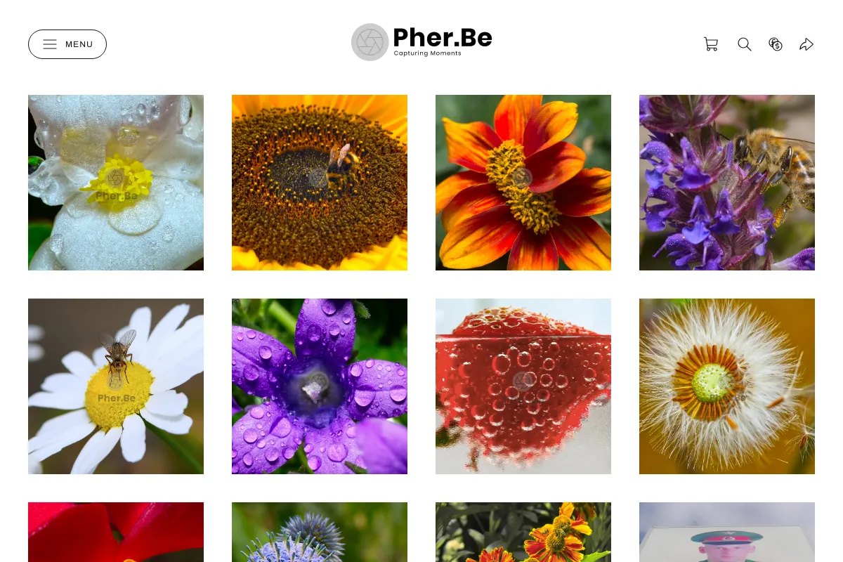 Pherbe Photography