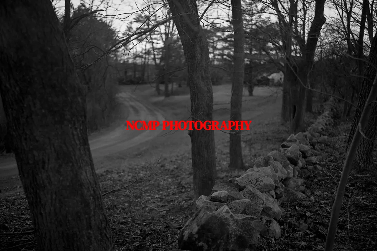 NCMP Photography