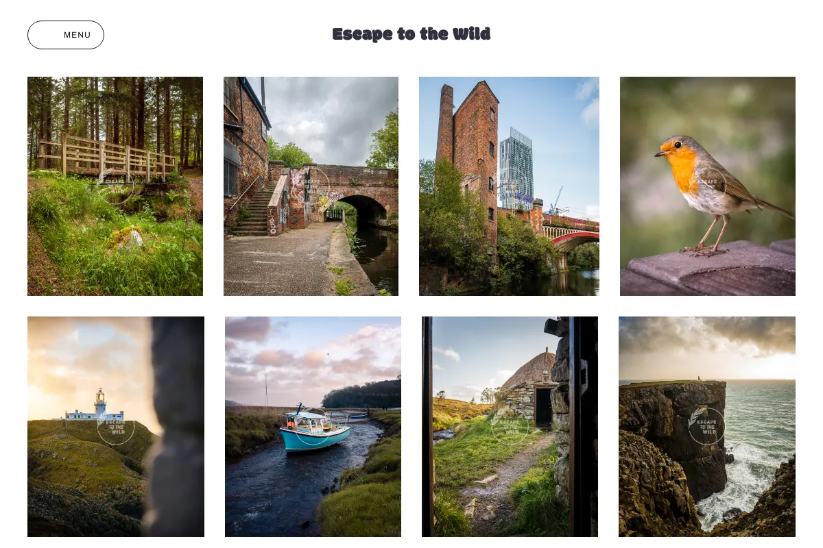 Escape to the Wild