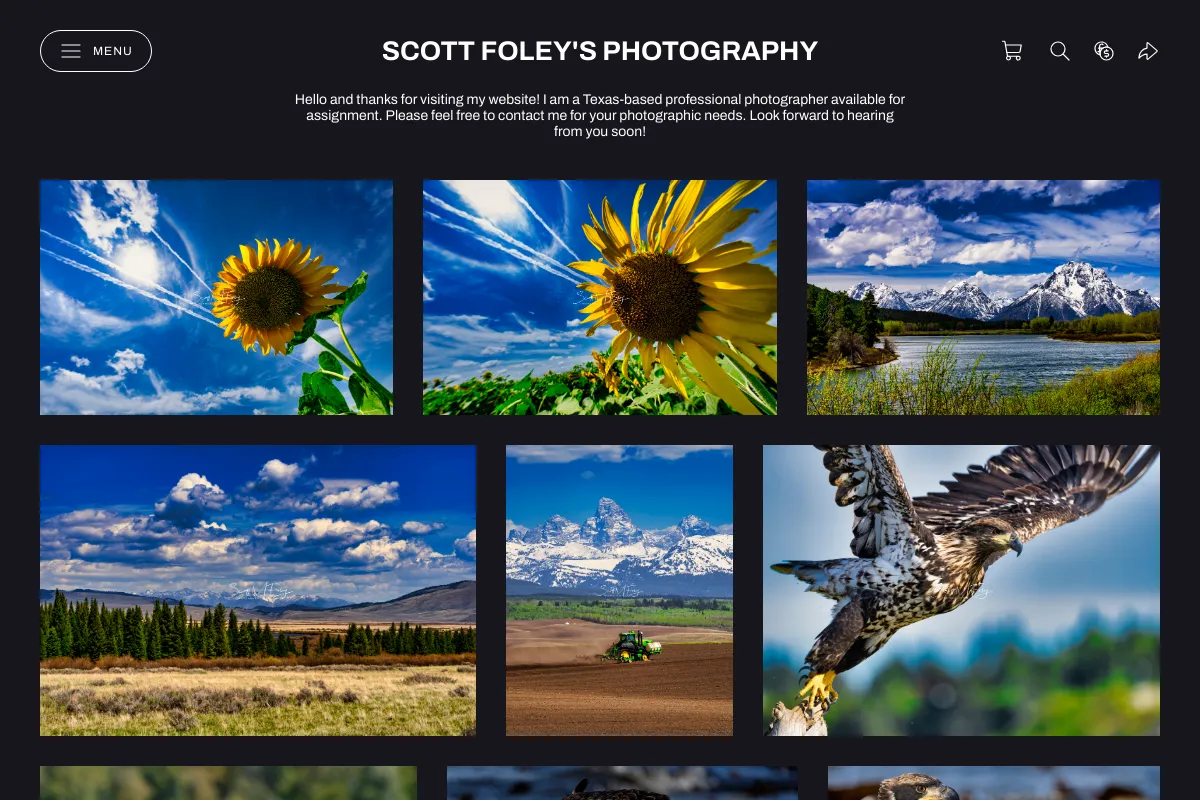 Scott Foley's Photography
