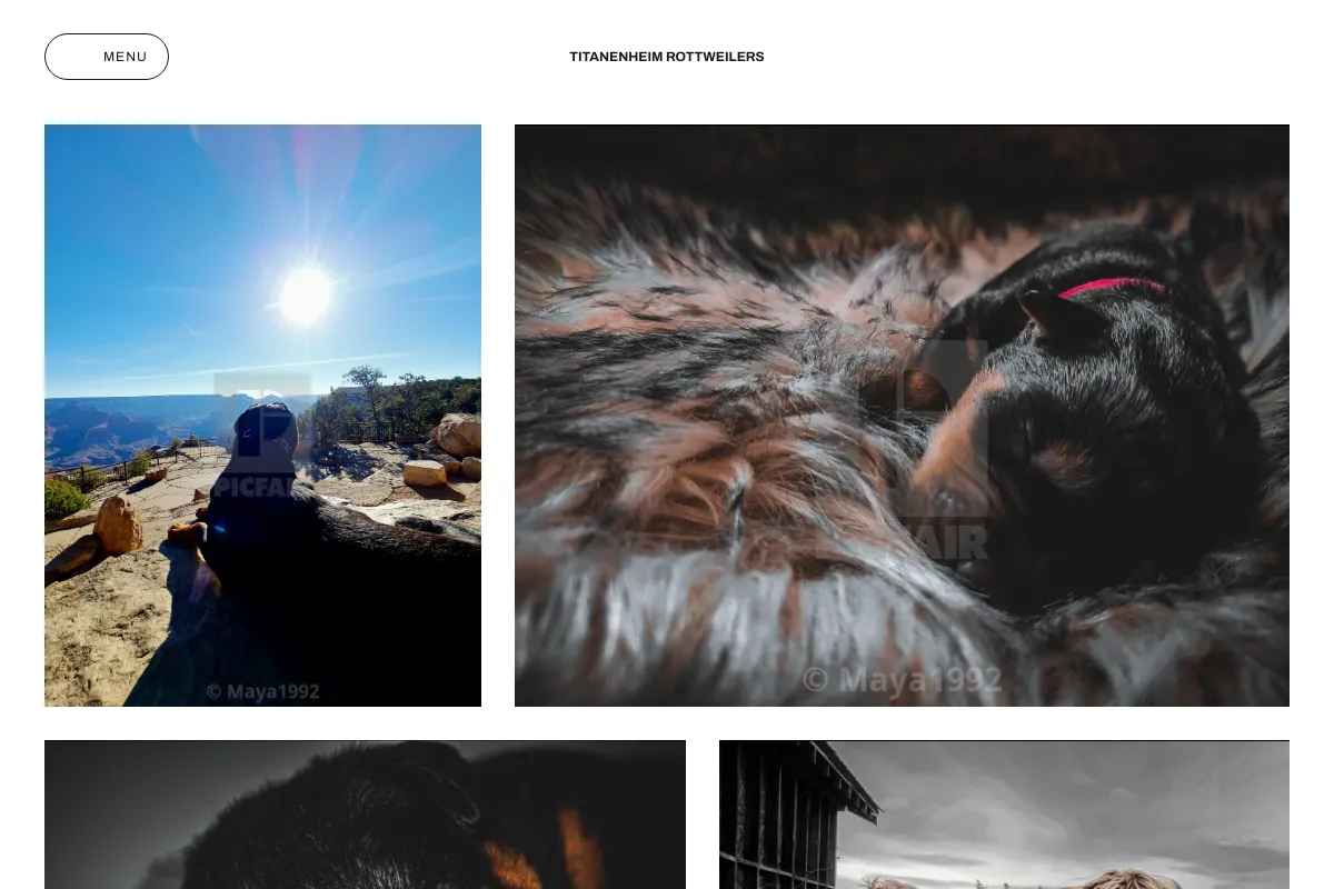 Titanenheim Rottweilers