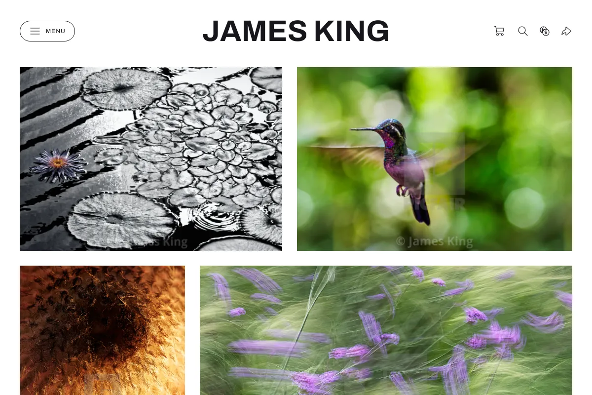 James King