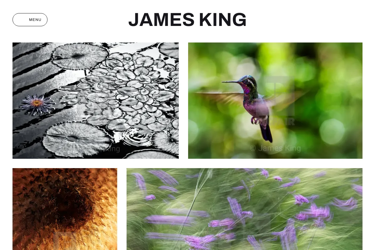 James King