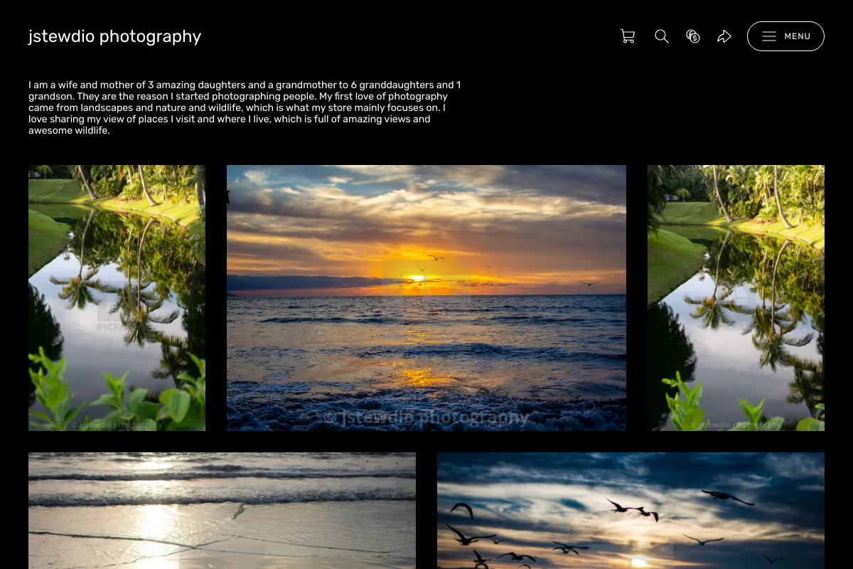 jstewdio  photography