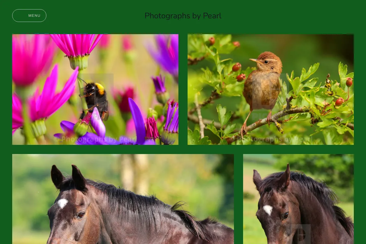 Photographs by Pearl