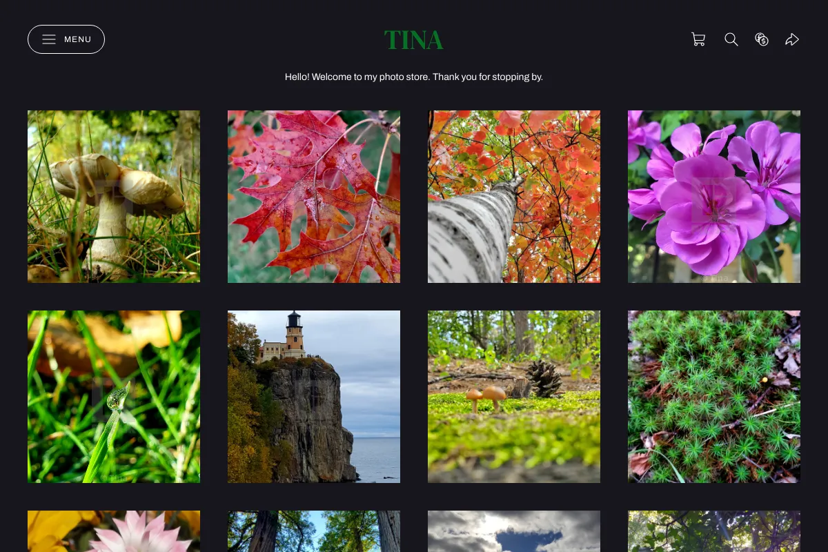 Tina