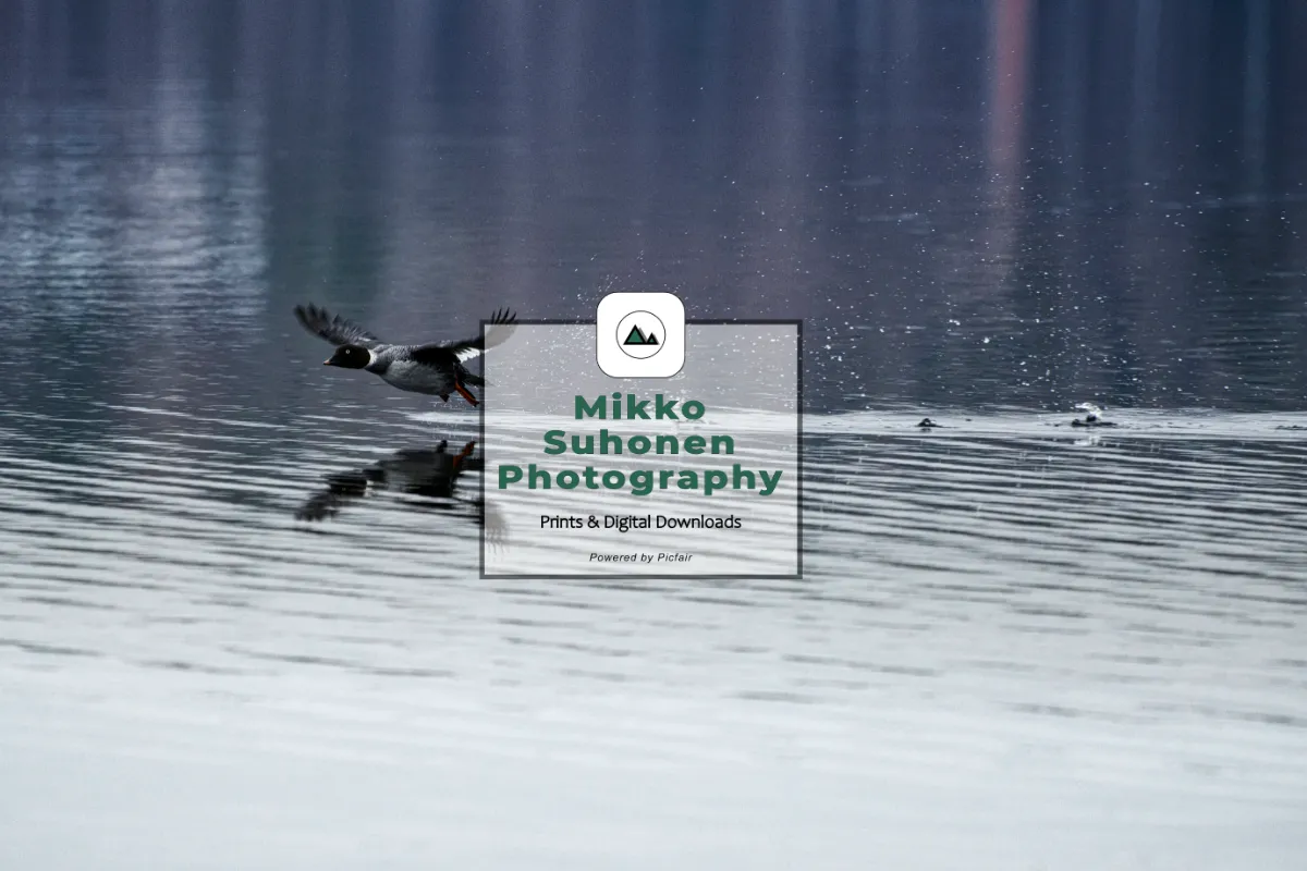 Mikko Suhonen Photography