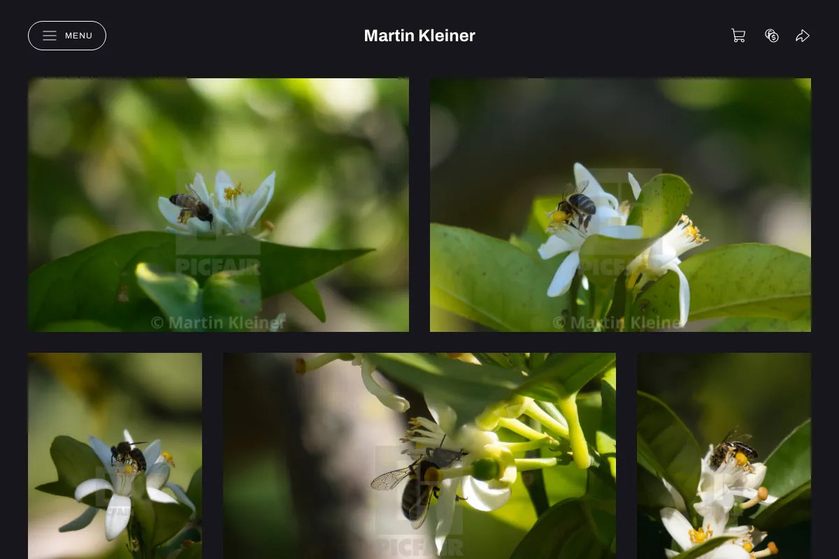 Martin Kleiner