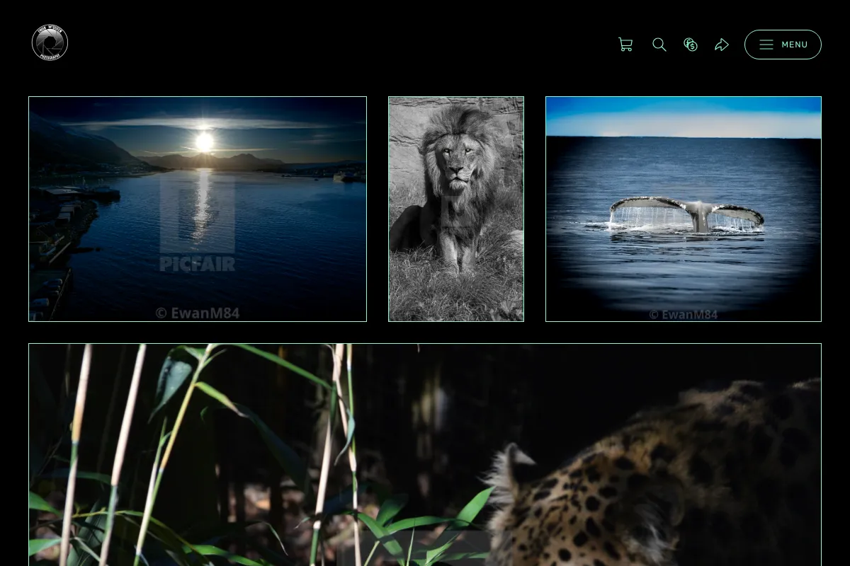 Ewan McQueen Photography