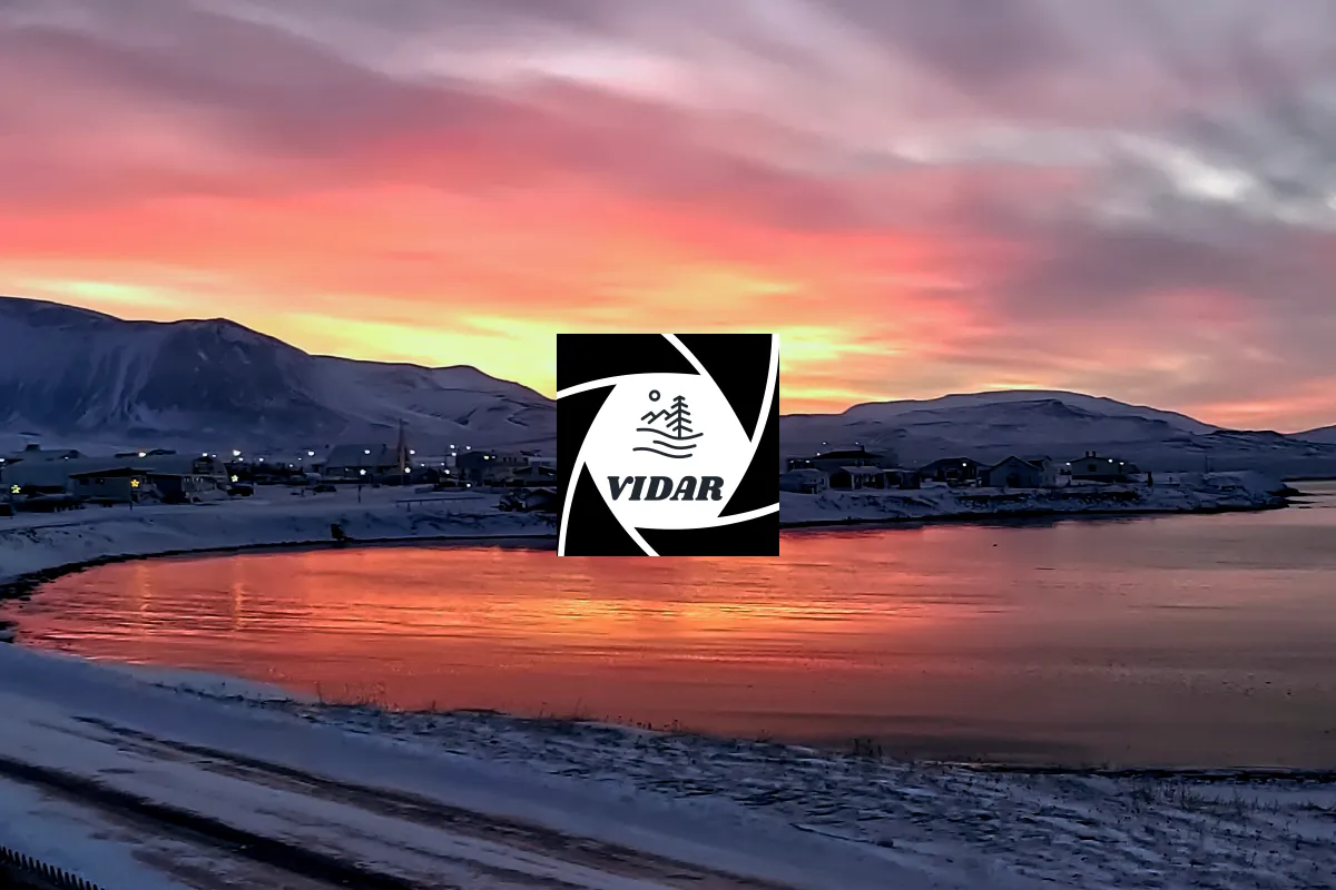 Vidar Reynisson