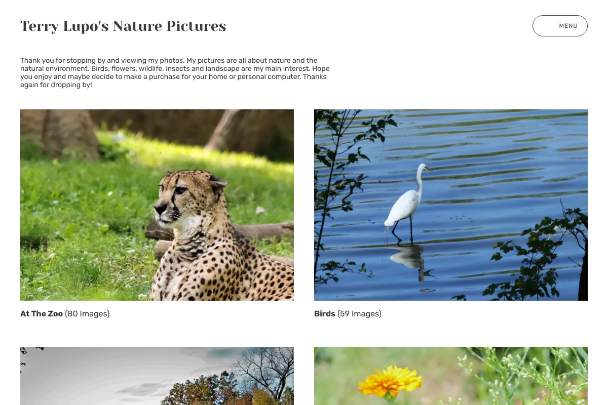 Terry Lupo's Nature Pictures