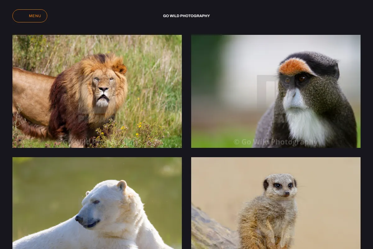 Go Wild Photography 