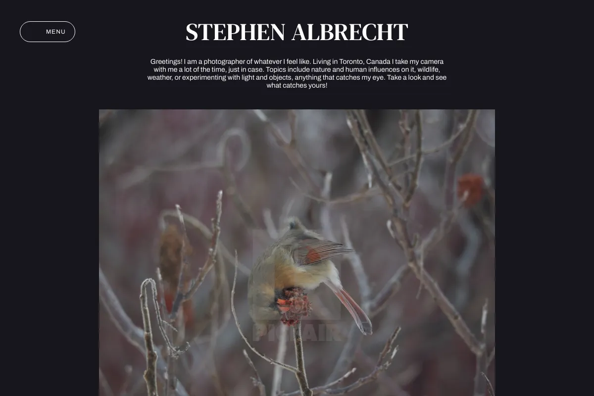 Stephen Albrecht