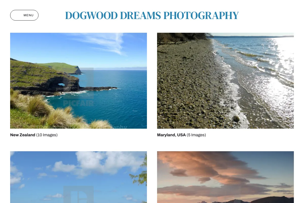 Dogwood Dreams Photography