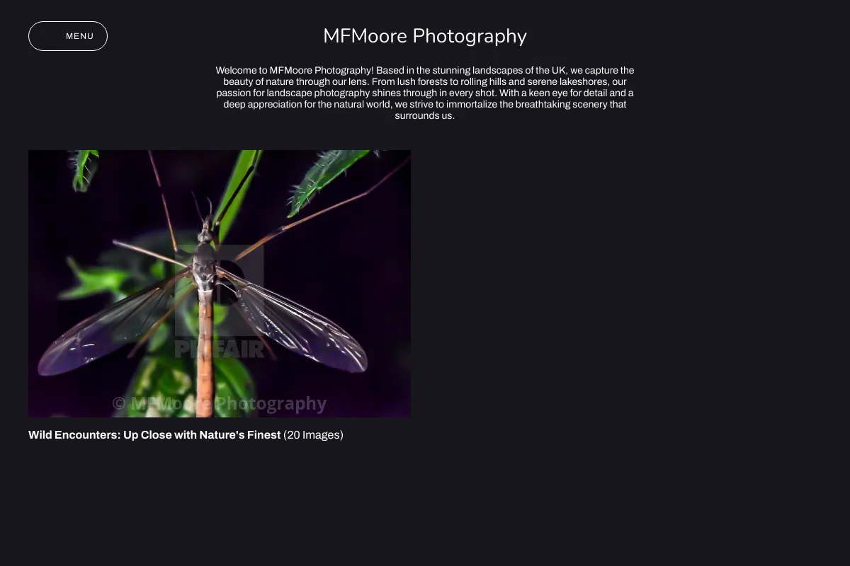 MFMoore Photography 