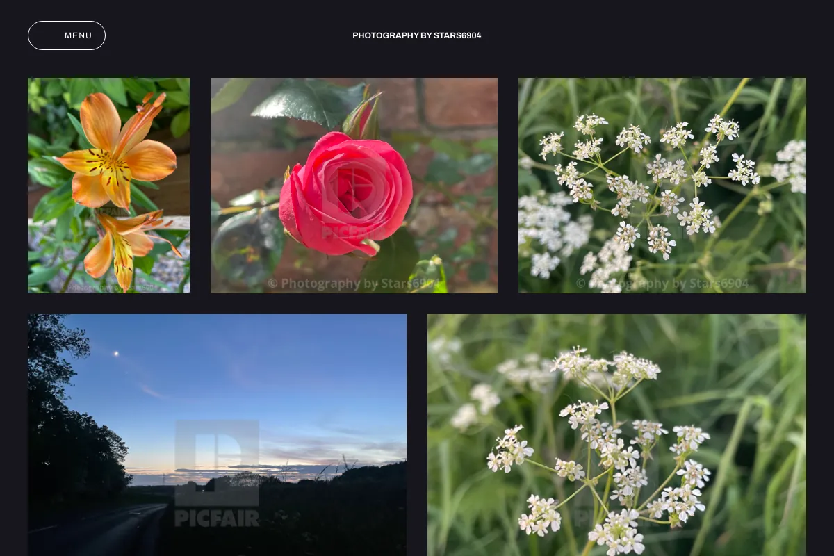 Photography by Stars6904