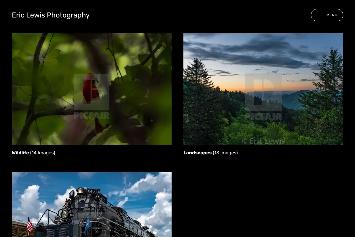 Eric Lewis Photography
