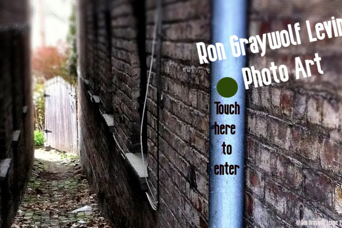 Ron Graywolf Levine 