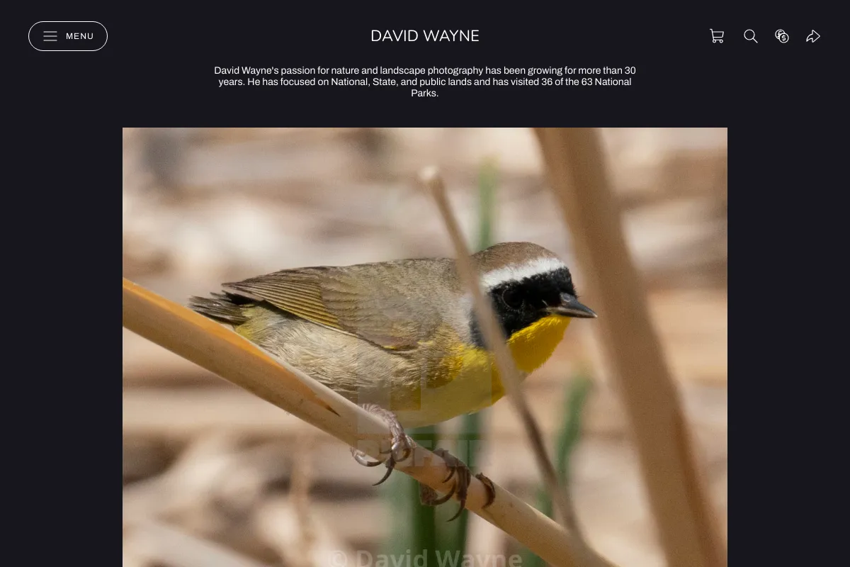 David Wayne