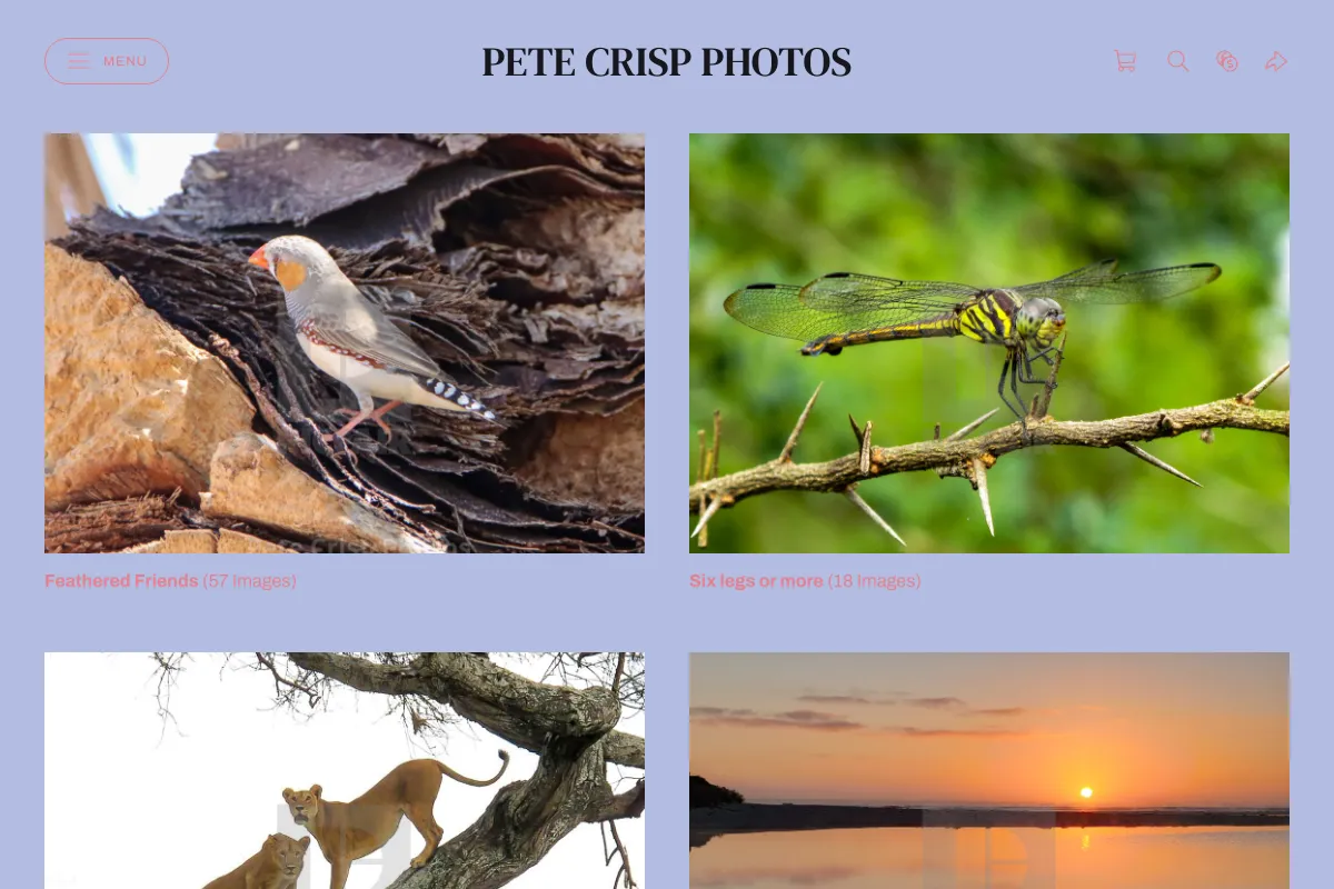 Pete Crisp Photos