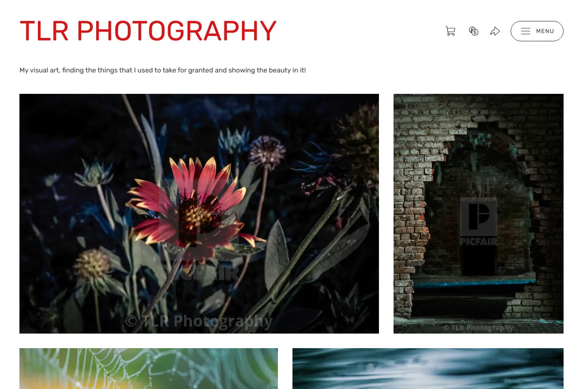 TLR Photography 