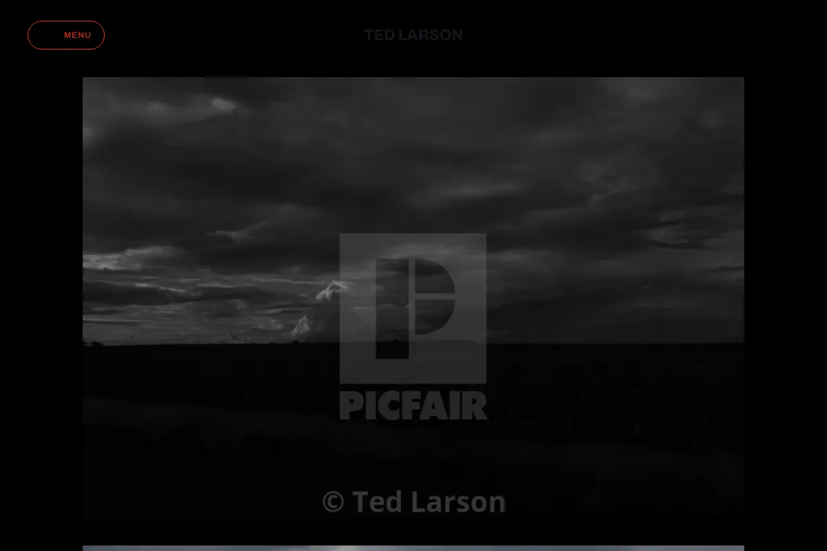 Ted Larson