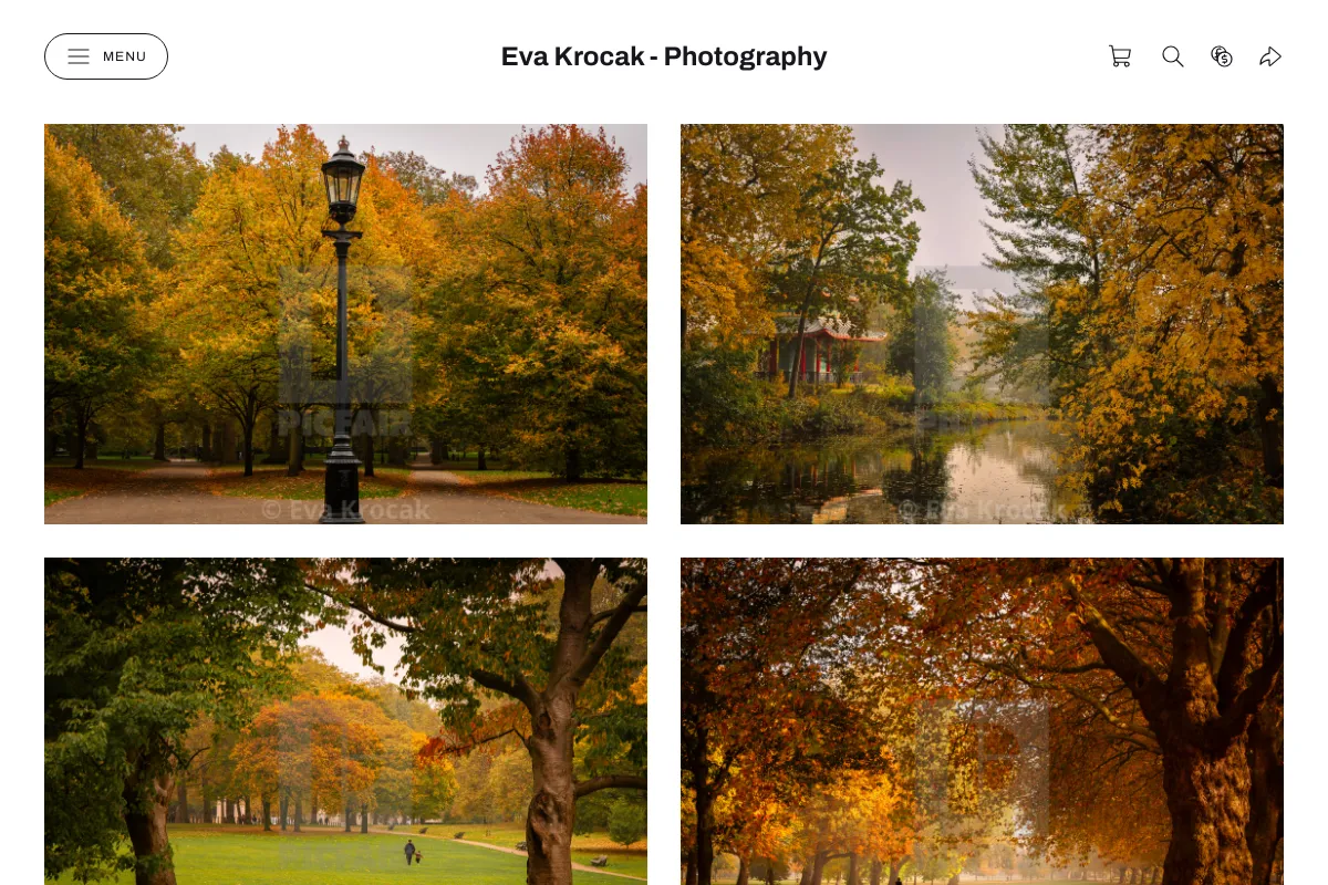 Eva Krocak - Photography 