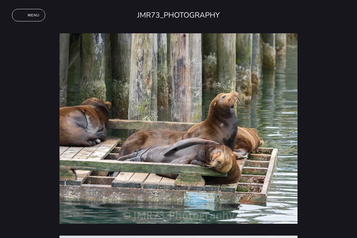 JMR73_Photography