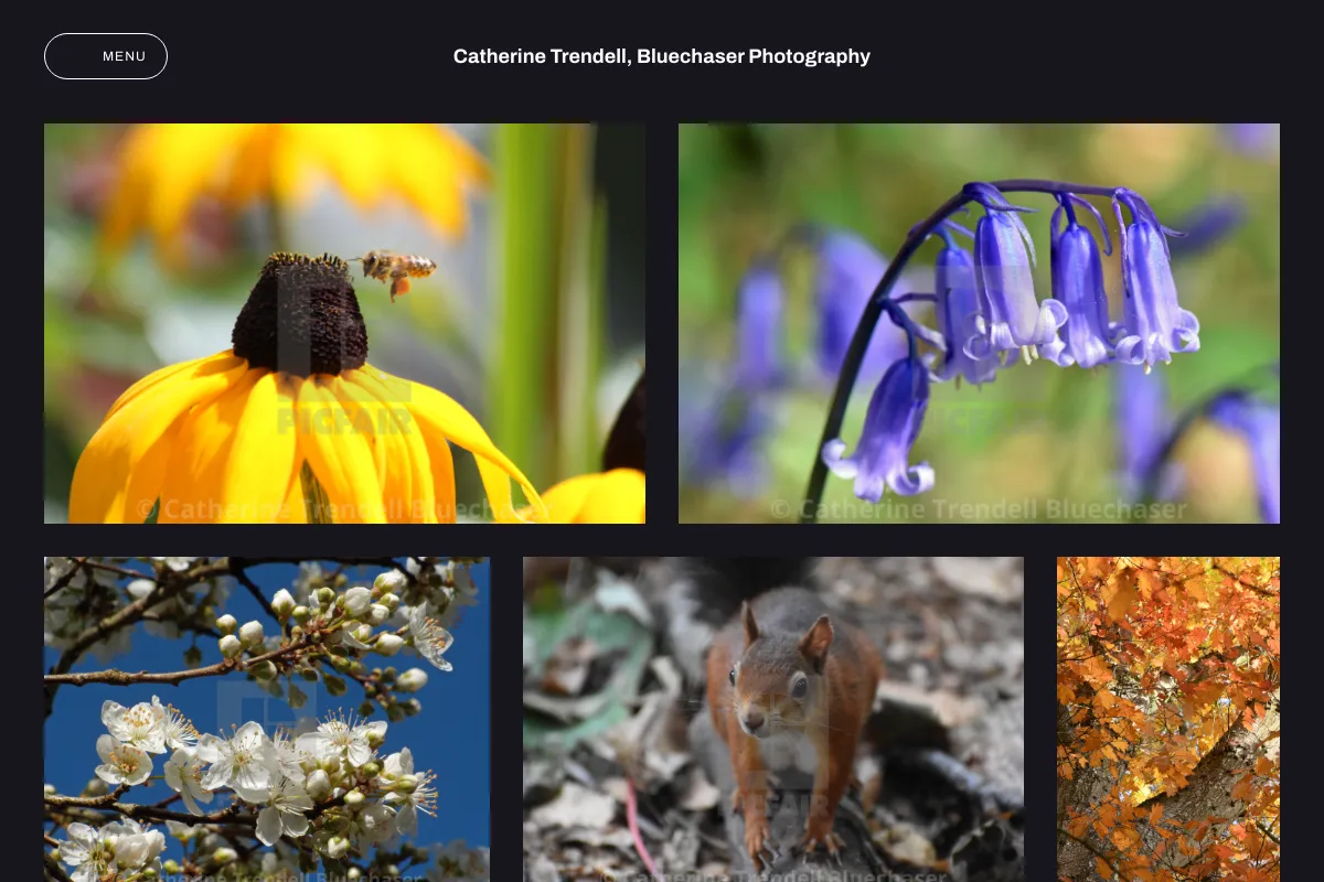 Catherine Trendell, Bluechaser Photography