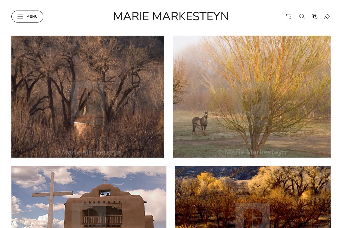 Marie Markesteyn