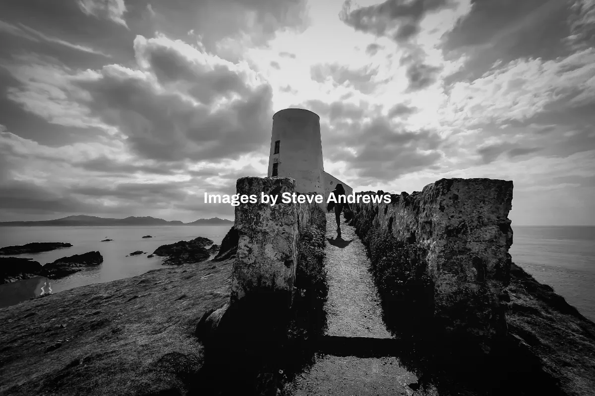 Images by Steve Andrews