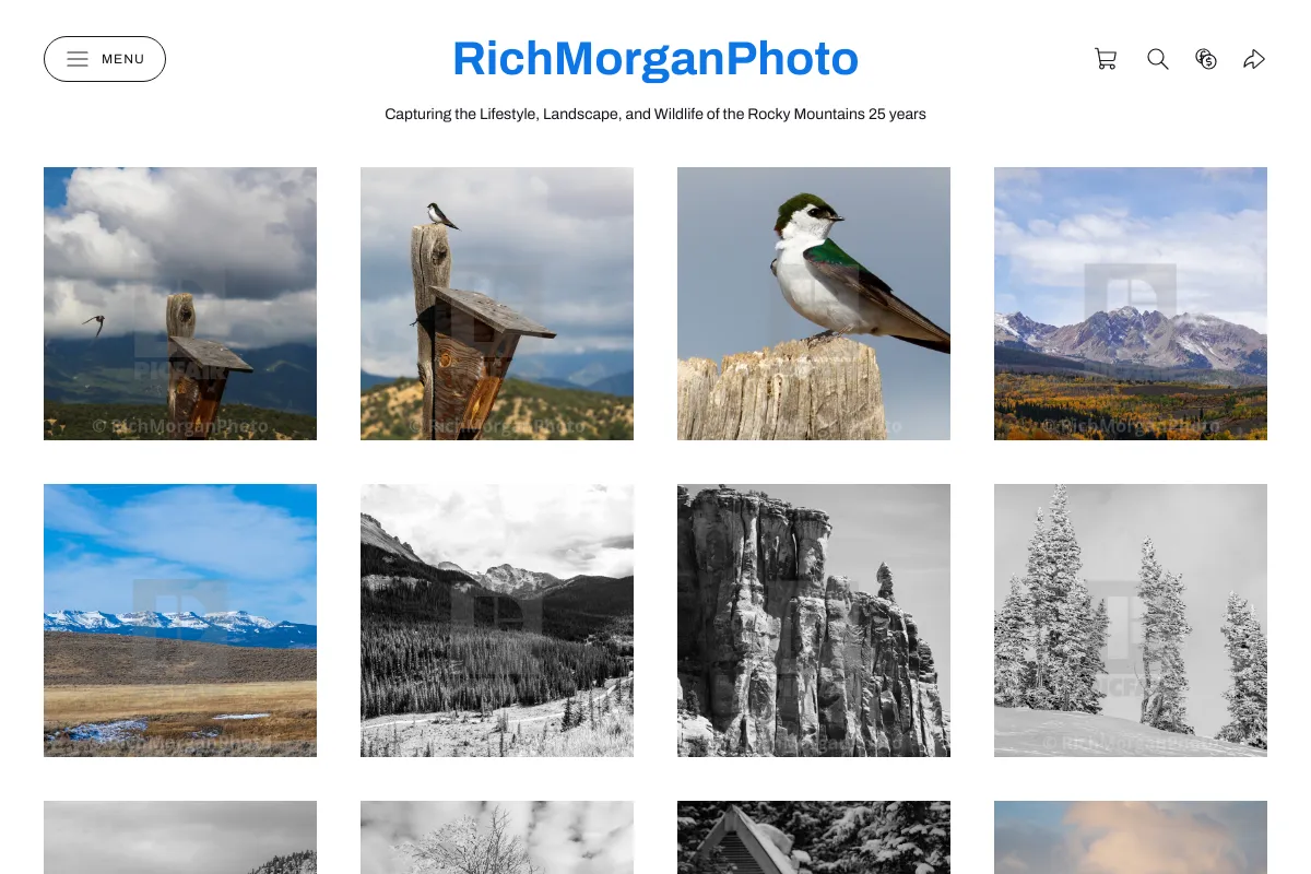RichMorganPhoto