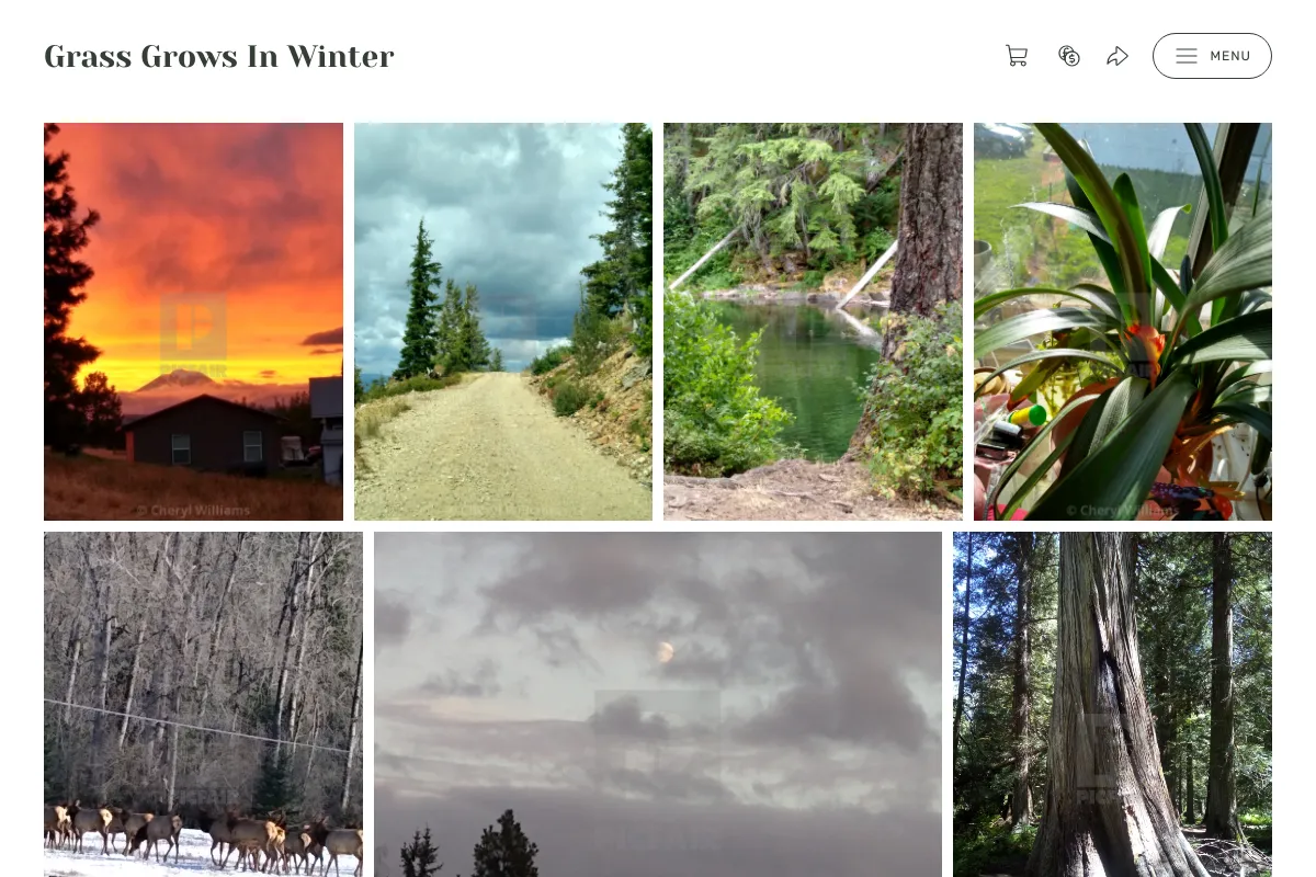 Grass Grows In Winter